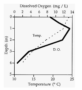 dissolved oxygen levels in Roseland Lake